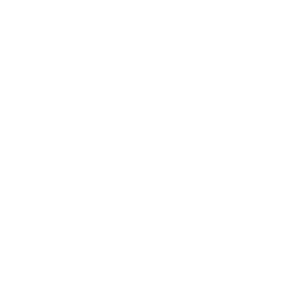 wordle